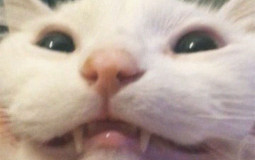 minecraft pvp tierlist